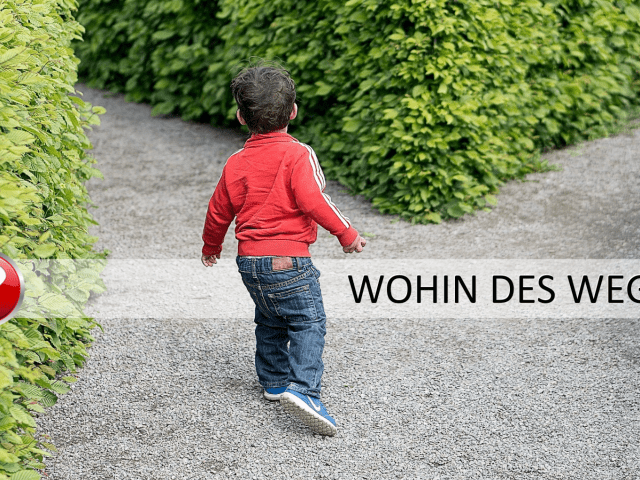 Kleiner Mann, wohin des Weges?